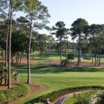 Best Golf Courses South Carolina