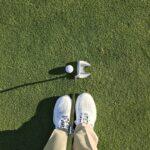 What Is A Putter In Golf