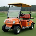 1969 Harley Davidson Golf Cart