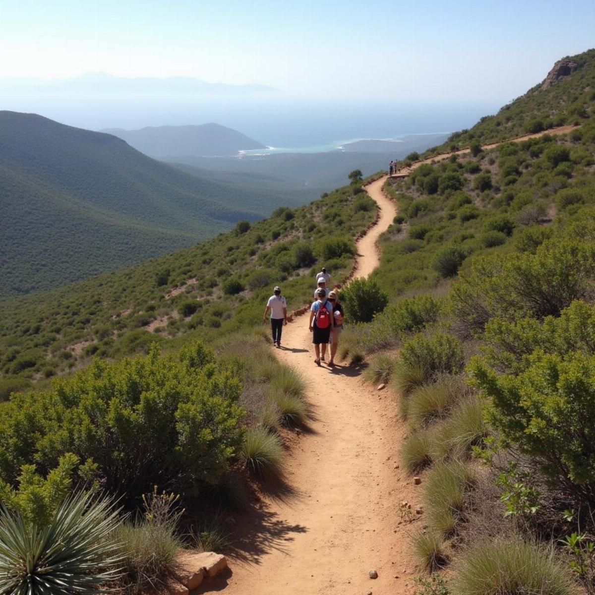 Coral Mountain Hiking Trail