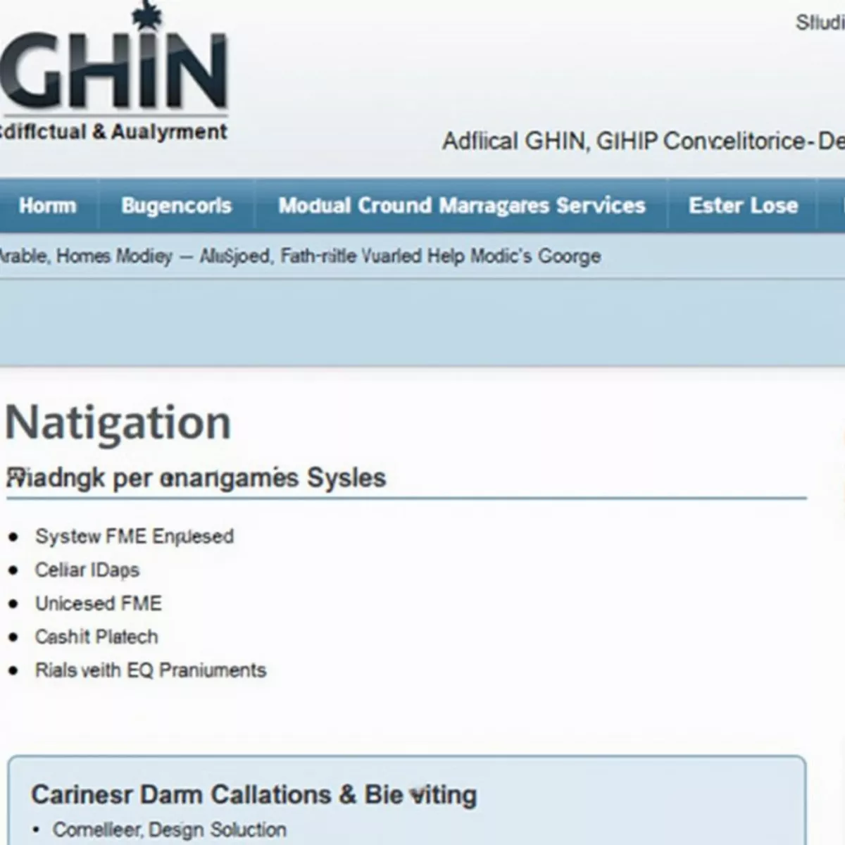 Ghin Website Screenshot