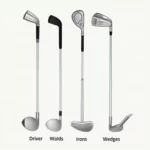 Golf Clubs Types