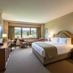 Deluxe suite at lodge