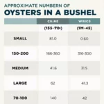 Oyster Sizes in a Bushel