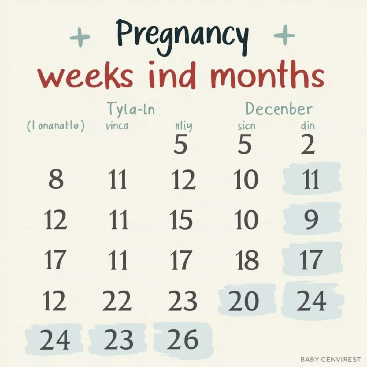 Pregnancy Calendar Showing Weeks And Months.