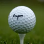 Srixon XV Golf Ball