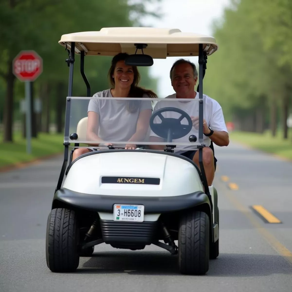 Street Legal Golf Cart On Road