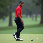 Tiger Woods wearing Nike Air Zoom golf shoes