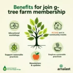 Tree farm membership benefits